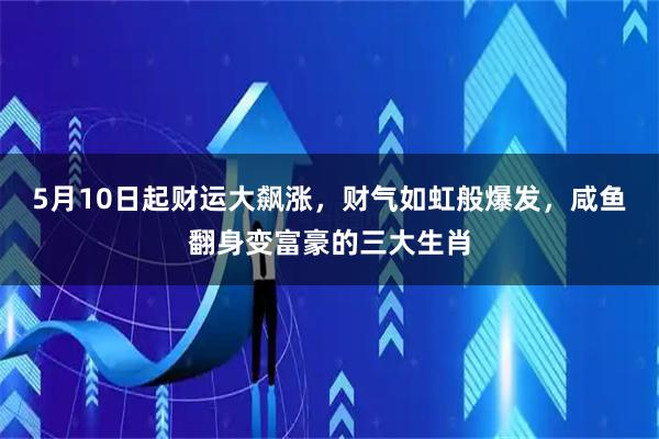 5月10日起财运大飙涨，财气如虹般爆发，咸鱼翻身变富豪的三大生肖